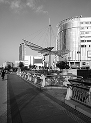 光明公司注册